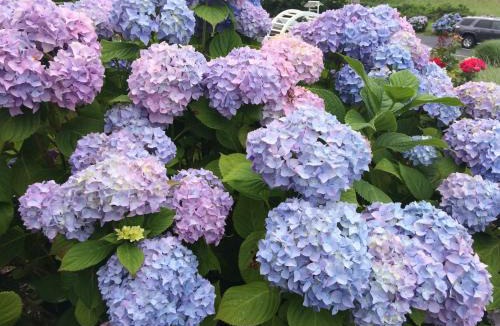 Chatham Hotel | The Hawthorne