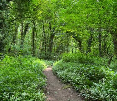 Kington Apartment | The Hayloft