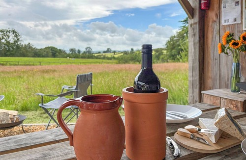 Llanfair Caereinion Cottage | The Hedgehog Pod - UK50067