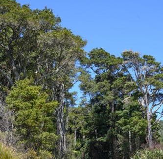 Kaipara Flats House | The Hen House