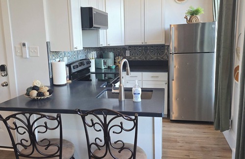 Petersburg Apartment | The Henry Lofts - Unit 4 'The Appomattox'