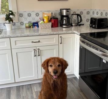 Saint Croix House | The Hideaway Cottage with Private trails