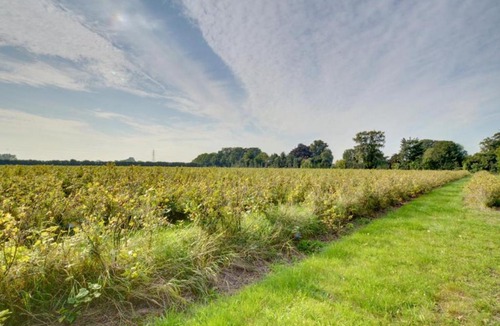 Worth Apartment | The Hideaway