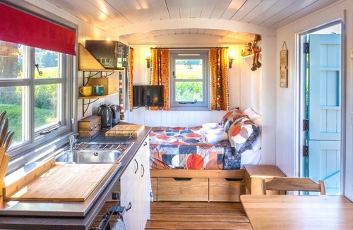 Whitestone Apartment | The Hideaway Hut - 1 Bed Shepherds Hut - Dodmarsh