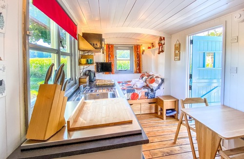 Whitestone Cabin | The Hideaway Hut - 1 Bed Shepherds Hut - Hereford
