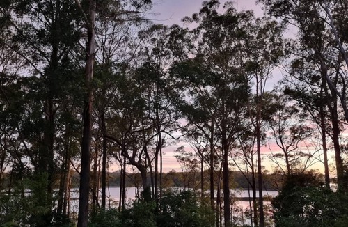 Landsborough House | 'The Hideaway' Sunshine Coast Hinterland