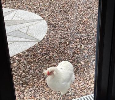 Murthly Apartment | The Hive at Bee Happy Breaks Scotland