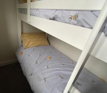 South Molton Apartment | The Hive