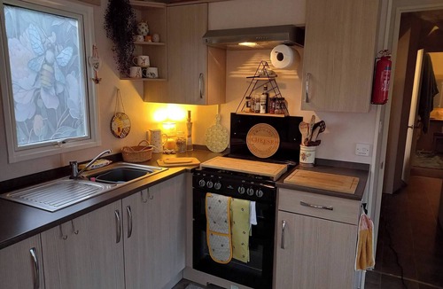 Hawick Cabin | The HIVE on the river bank