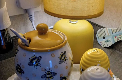 Hawick Cabin | The HIVE on the river bank