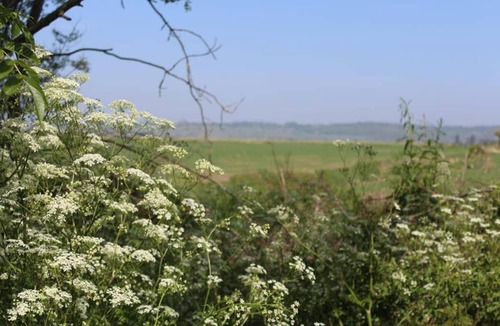 St Mary's Bay House | The Hive with Hot tub