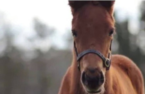 Great Wilbraham Apartment | The Hole in the Wall