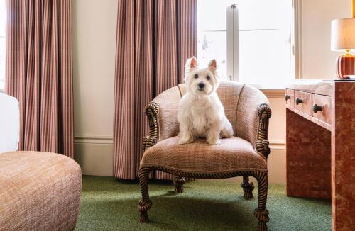 Beverly Hills Hotel | The Hotel Lili