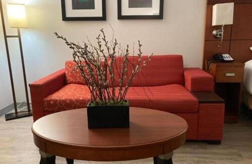 Orange Hotel | The Hotel Orange