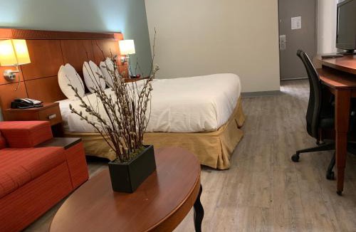 Orange Hotel | The Hotel Orange