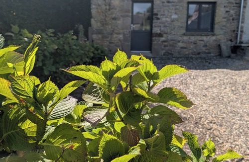 La Hague House | The house swallow in the countryside