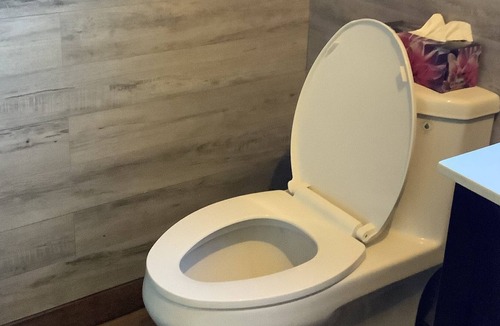 Cap-Bateau Ski Chalet | The house with the red roof