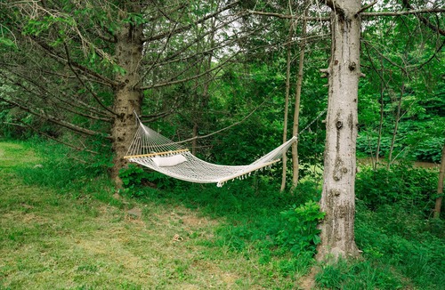 Hunter Cabin | The Hunter River Cabin
