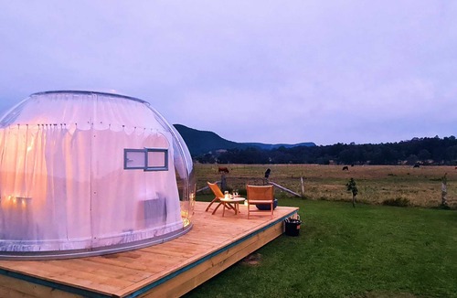 Mount Vincent Cabin | The Hunter Valley "Bubble Hotel" Dome Style w/Stargazing Activity