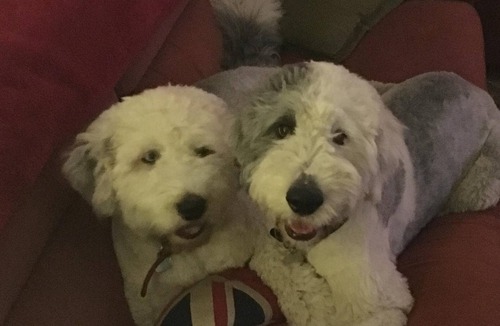 Middlemarsh Hotel | The Hunters Moon