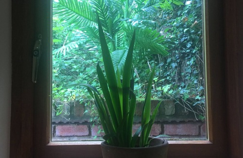 Kinver House | The Hyde Dovecote, Kinver.