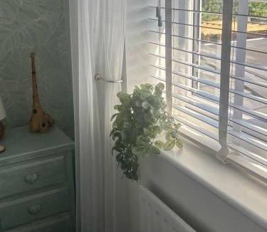 Hartlepool Apartment | The Ivy Nook