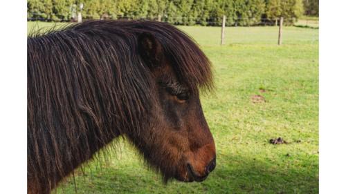 Yarra Junction House | The Junction by Tiny Away