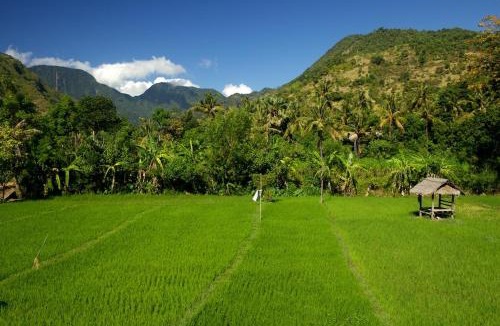 Amed Villa | The Kampung