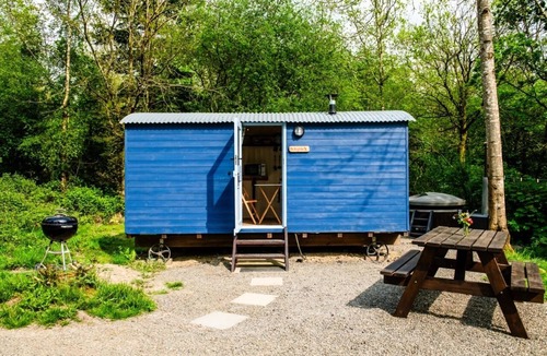 Acton Scott Cabin | The Kingfisher Shepherd's Hut