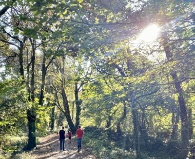 St Austell Hotel | The Kingswood