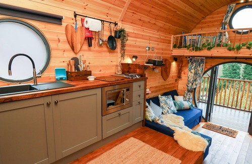 Pont-Rhyd-y-Groes Cottage | The Kites Nest