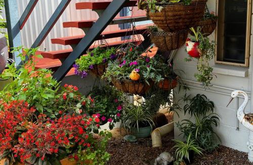 Yungaburra House | The Lake House