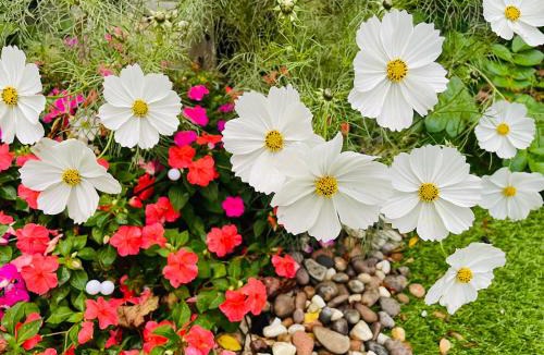 Clayhall House | The Lakeside Redbridge