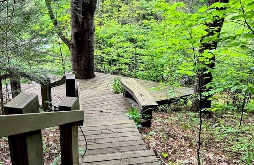 Downsville Cabin | The Lakeview Art House