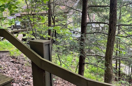 Downsville Cabin | The Lakeview Art House