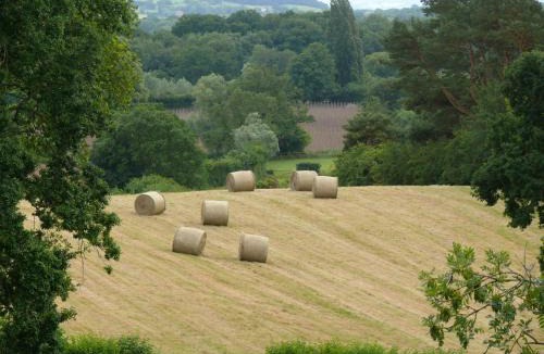 Hay-on-Wye Bed & Breakfast | The Larches Ledbury