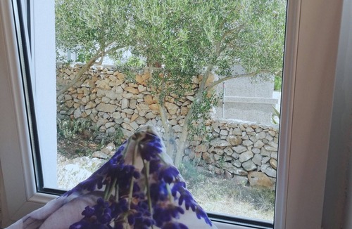 Kolan Villa | The Lavender House- your perfect getaway in Mandre