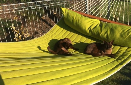 Kerikeri Apartment | The Lavender Loft Retreat