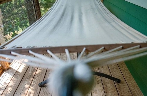 Lindale Cabin | The Leanin' Tree - Nestled Amongst The Piney Woods Of East Texas by RedAwning