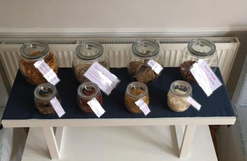 Thurlow Park Bed & Breakfast | The Lilac Door