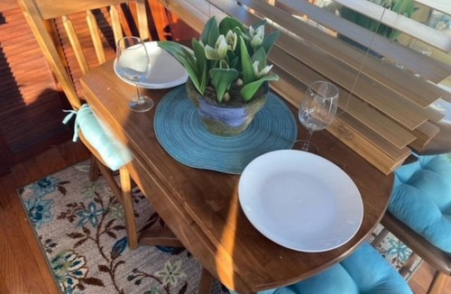 Sabula Boat Rental | The "Lily Pad" Boatel Houseboat