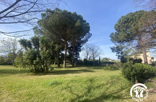 Latour-Bas-Elne House | The Lime Tree in the Parc de la Dame