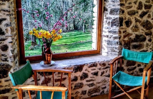 Le Bez House | The lime tree of Bressolles