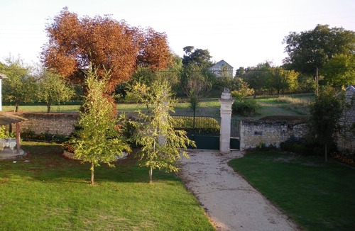 Thurageau House | The lime trees