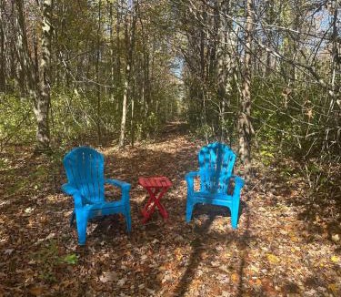 Silver Creek House | The Little Cabin on Old Main Rd