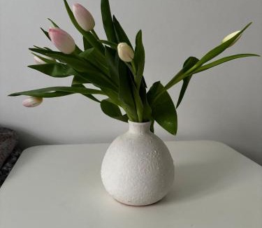 Amager Apartment | The Little Gem