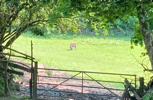 Mawr Apartment | The Little Grebe