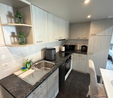 Bussigny-pres-Lausanne Apartment | The little urban luxury