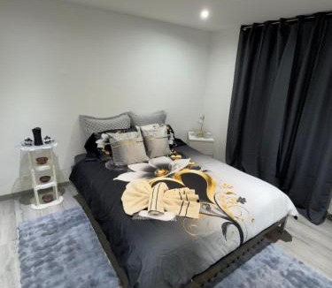 Bussigny-pres-Lausanne Apartment | The little urban luxury