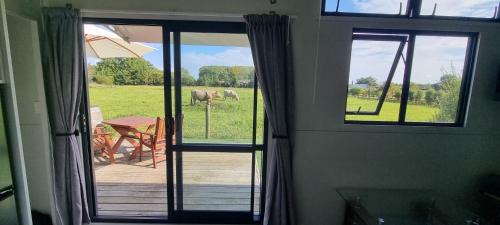 Waikato District Bed & Breakfast | The Little Willow B